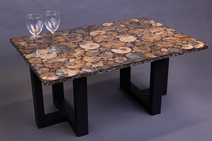 Eye-Catching, Cut & Polished Ammonite Fossil Coffee Table #244470